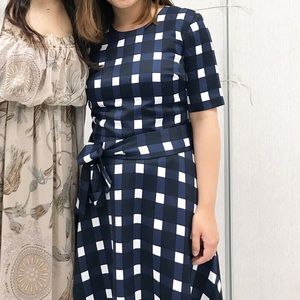 Banana republic gingham dress